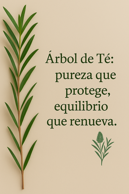 Aceite Esencial de Árbol de Té