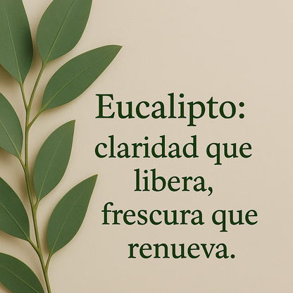 Aceite Esencial de Eucalipto